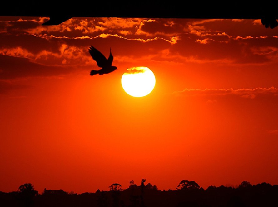 Chuvas perdem força e temperaturas seguem altas em março no Paraná, prevê Simepar