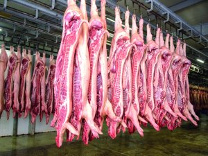 Exportações brasileiras de carne suína mantêm ritmo positivo, apesar da queda nas vendas para China