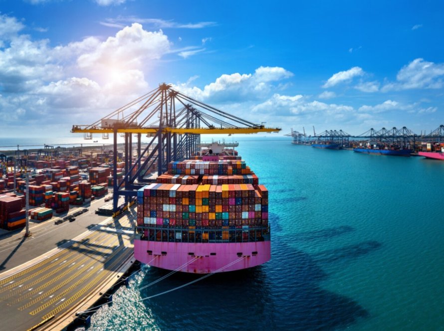 Receita das exportações de genética avícola cresce 18,4% em março