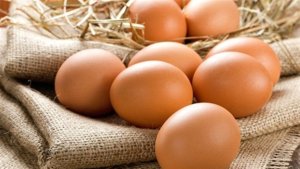Exportações de ovos crescem em abril e  Brasil amplia presença em novos mercados