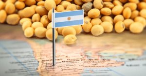 Colheita de soja da Argentina é interrompida após chuvas