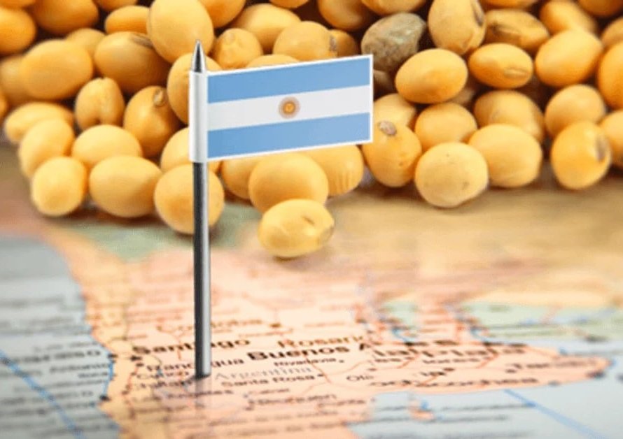 Colheita de soja da Argentina é interrompida após chuvas