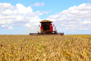 Condições climáticas favoráveis e avanços tecnológicos contribuíram para safra recorde de soja