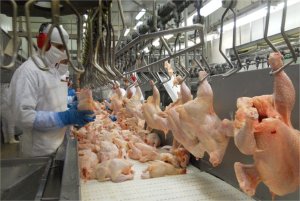 Embarques de carne de frango em abril/25 não superam exportações de abril do ano passado