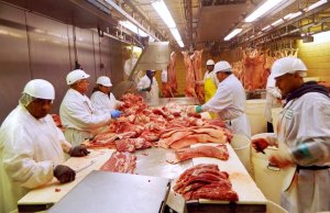 Exportação de carne suína termina abril superando registros de março e abril/24