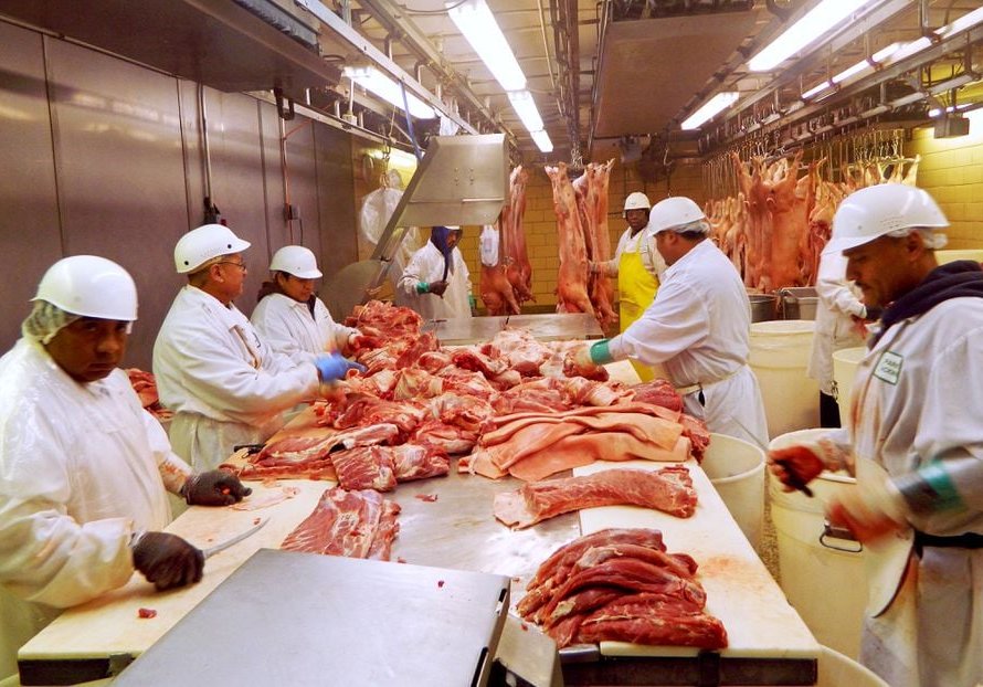 Exportação de carne suína termina abril superando registros de março e abril/24