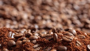 Exportações de café não torrado e torrado mantém estabilidade até a 3ª semana de maio/25