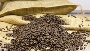Exportações de café somam US$ 5,23 bilhões até abril