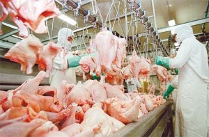 Exportações de carne de frango mantém estabilidade em abril, com crescimento no acumulado do ano