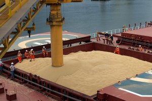 Exportações de soja dos EUA podem cair 20% sem acordo comercial com a China, diz AgResource