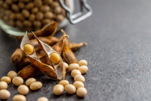 Plantio das novas safras de soja e milho avança em ritmo forte nos EUA, avalia Hedgepoint