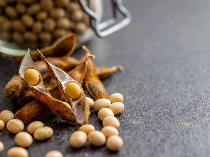 Plantio das novas safras de soja e milho avança em ritmo forte nos EUA, avalia Hedgepoint