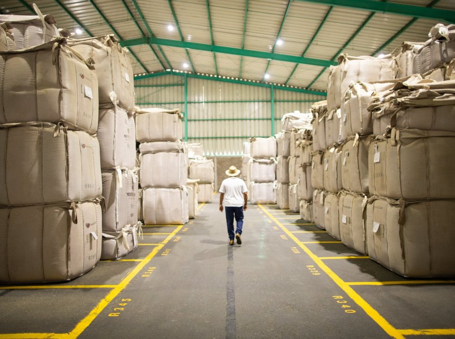 Preço da exportação de café não torrado aumenta mais de 80% em 6 dias úteis de maio/25