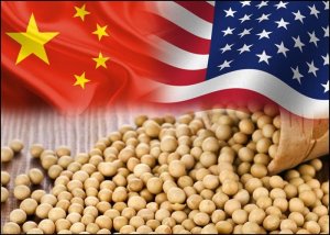 Soja e óleo disparam na Bolsa de Chicago nesta 2ª, após anúncio de corte de tarifas por China e EUA
