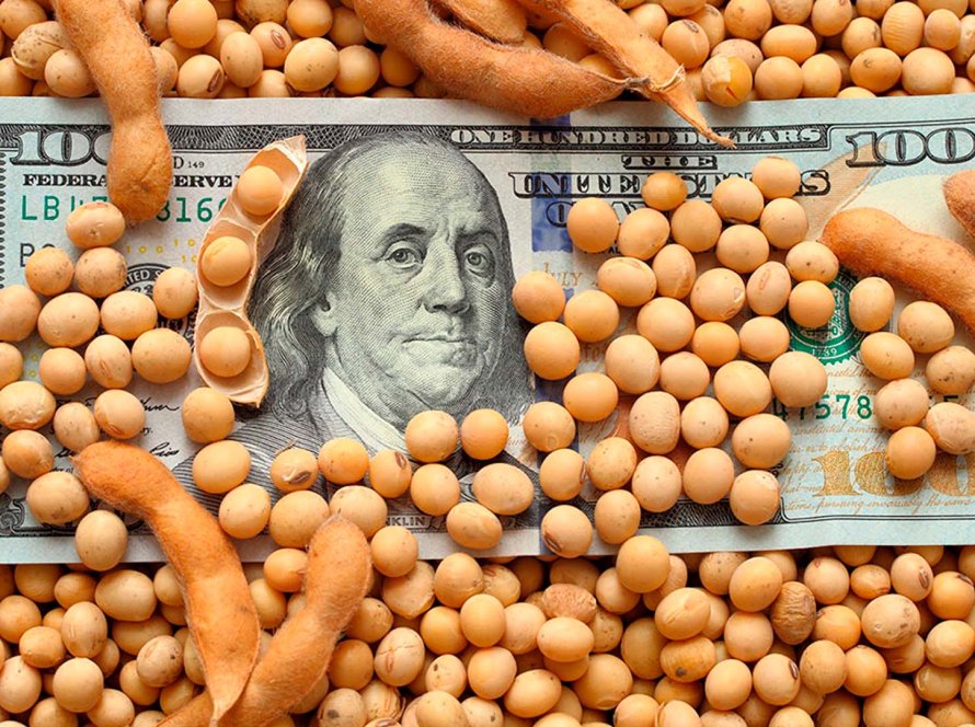 Soja retoma mercado trabalhando com leves ganhos nesta 3ª feira, acompanhando altas do óleo em Chicago