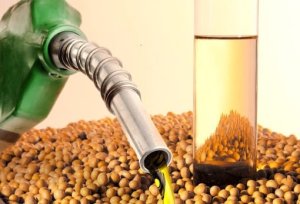Demanda por biodiesel em 2025 segue em 9,6 milhões de m³, com incremento no uso de óleo de soja na produção do combustível