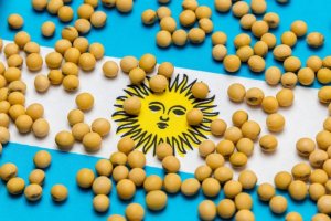 Exportações argentinas de soja e derivados aumentam para 6,1 mi t em junho, diz bolsa