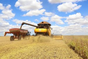 Governo libera nova parte do seguro rural, mas bloqueio ameaça safra de verão