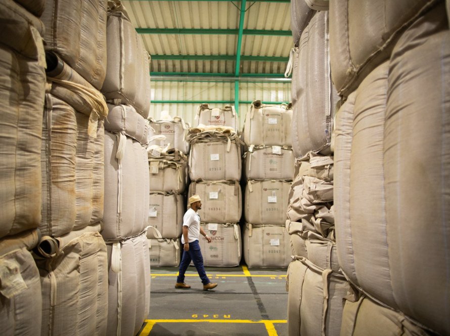 Preço das exportações de café não torrado aumenta 80% na 4ª semana de junho/25