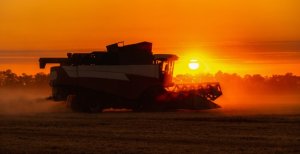 Safra de grãos em 2025 deve alcançar 332,6 milhões de toneladas, aponta IBGE
