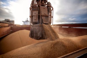 Safra paraguaia 2024/25 de soja deve atingir 8,69 milhões de toneladas