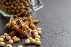 Soja: Mercado intensifica ganhos em Chicago nesta 3ª feira, com novas altas do óleo