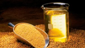 Abiove eleva projeções de processamento e exportações de soja do Brasil