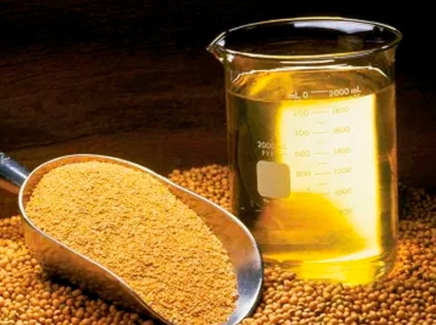 Abiove eleva projeções de processamento e exportações de soja do Brasil