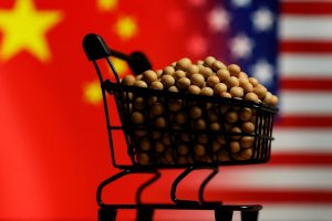 China necessita de soja dos EUA e precisará comprar de 15 a 25 mi de t no mercado norte-americano
