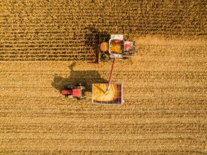 Colheita do milho pressiona frete e fertilizante importado bate recorde no 1º semestre