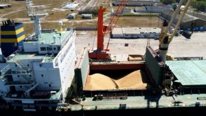 Cooperativa gaúcha inicia exportação de arroz e impulsiona mercado regional