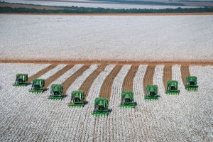Do algodão ao cacau: Cerrado baiano consolida novo ciclo de inovação agrícola com potencial de transformar o Brasil