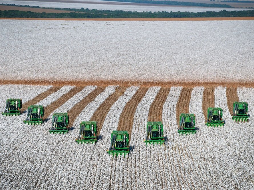 Do algodão ao cacau: Cerrado baiano consolida novo ciclo de inovação agrícola com potencial de transformar o Brasil