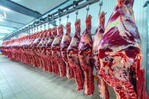 Frigoríficos do Mato Grosso do Sul paralisam produção de carne bovina destinada aos EUA