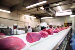 Frigoríficos do Mato Grosso exportam mais de 370 mil toneladas de carne no 1º semestre
