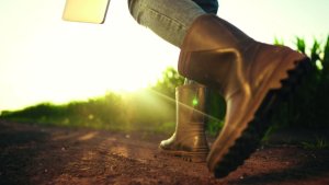 Goiás registra alta de 6,4% nas admissões da agropecuária em 2025