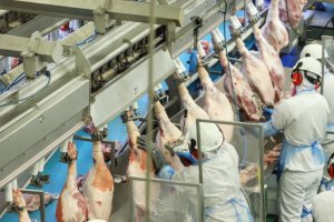 Governo de Goiás apresenta medidas para mitigar impacto de tributos nas exportações