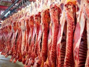 Grupo Ramax inicia operações em dois novos frigoríficos com foco em exportação de carne bovina