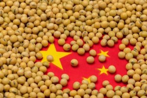 Importações de soja pela China atingem recorde em junho com fortes embarques do Brasil