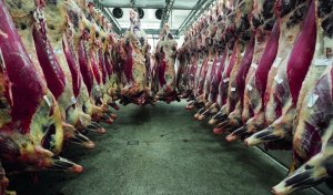 Mato Grosso transforma carne bovina em referência mundial de qualidade