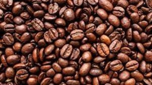 Mercado do café sente queda nas exportações e pressão de custos com fertilizantes