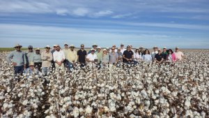 Produção sustentável de algodão no Oeste da Bahia ganha destaque em missão internacional