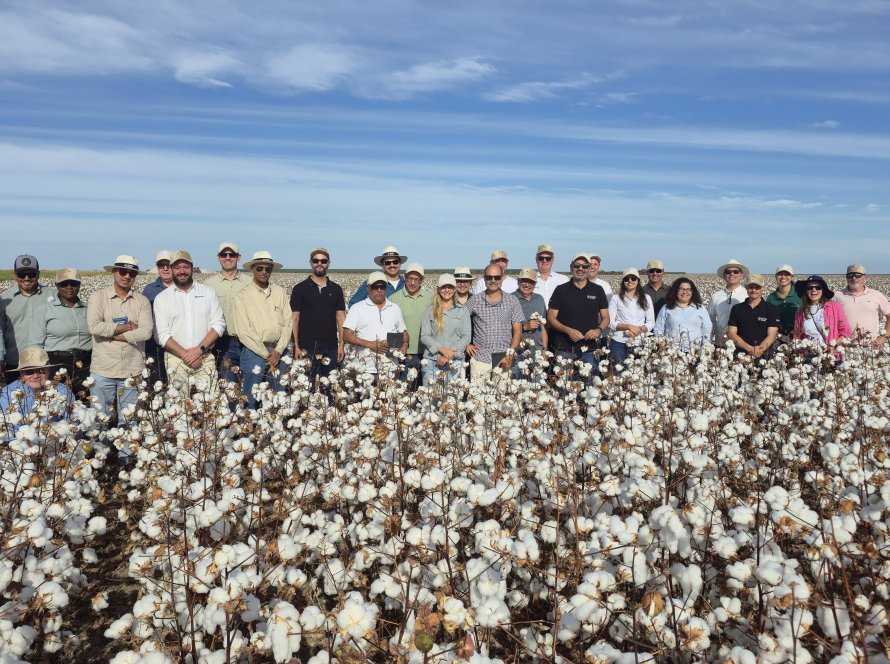 Produção sustentável de algodão no Oeste da Bahia ganha destaque em missão internacional