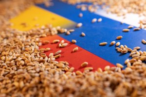 Rússia determina medidas para exportações agrícolas após queda nas vendas de trigo