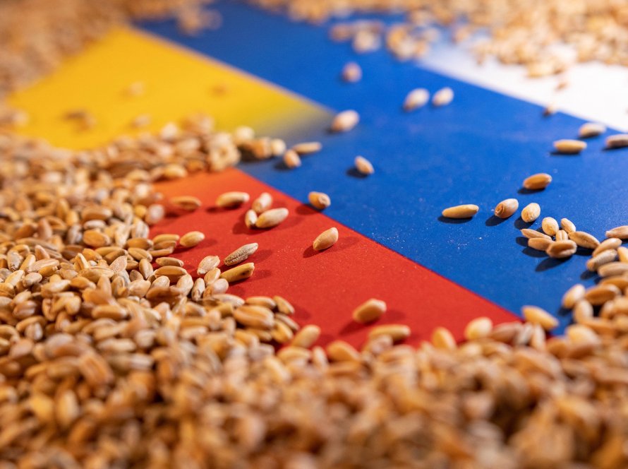 Rússia determina medidas para exportações agrícolas após queda nas vendas de trigo