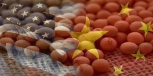 Soja dispara mais de 2% em Chicago nesta 4ª feira com China podendo voltar a comprar dos EUA