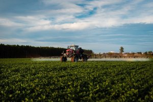 Uso excessivo de agrotóxicos compromete rentabilidade da soja
