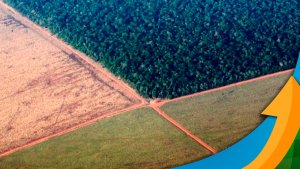 Vitória para o setor produtivo: Governador do Tocantins se compromete a sancionar projeto contra moratória da soja