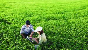 Agro busca protagonismo na COP 30 com soluções para clima, uso da terra e agricultura sustentável