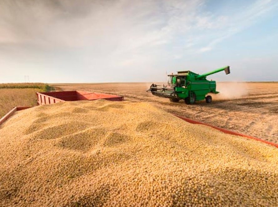 Conab: Safra de grãos 2024/25 é estimada em 345,2 milhões de toneladas com recorde na produção de milho e soja